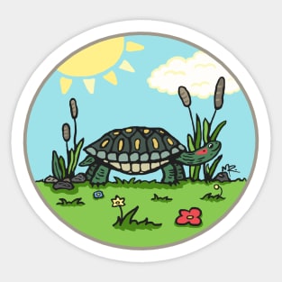 Terrific Turtle Sticker